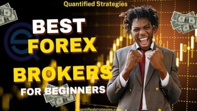 best forex brokers for beginners