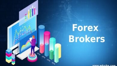 best broker for forex