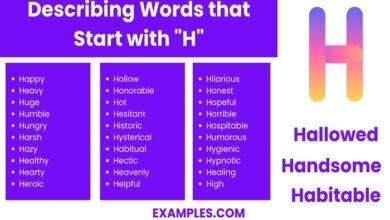 words that start with high