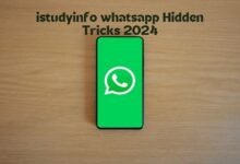 istudyinfo whatsapp track