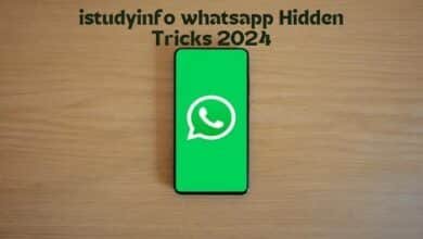 istudyinfo whatsapp track