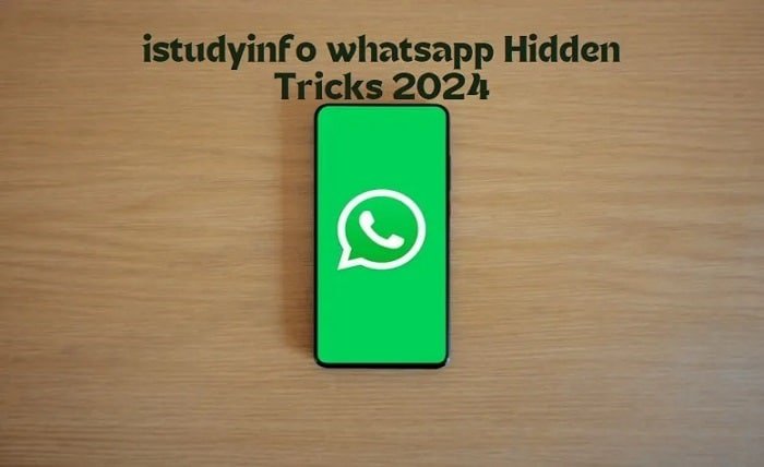 istudyinfo whatsapp track