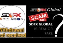 sdfx global. com