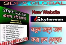 sdfx global. com